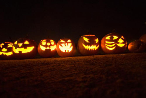 pumpkins.jpg