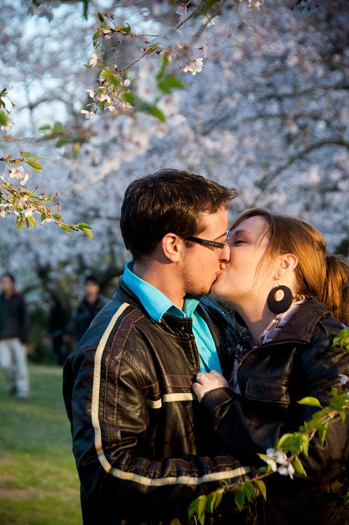 cysty_high_park_cherry_blossoms_3