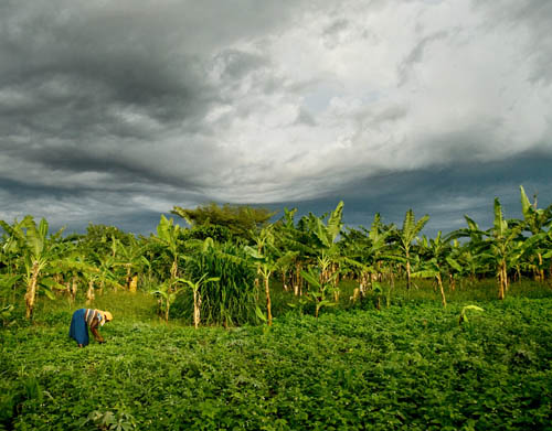 rakai uganda farm