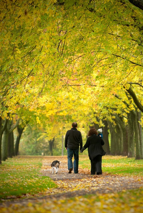 fall_family_portrait_toronto_gabe_01