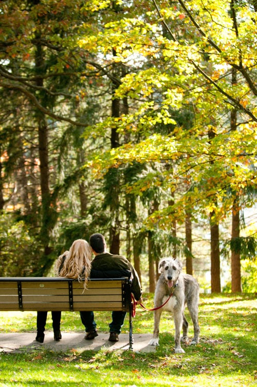 b_engagement_photos_high_park_toronto_photography_sam_10