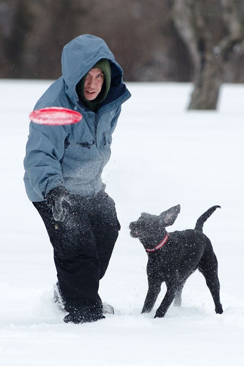 05_winter_fun_in_toronto