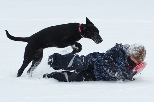 10_winter_fun_in_toronto