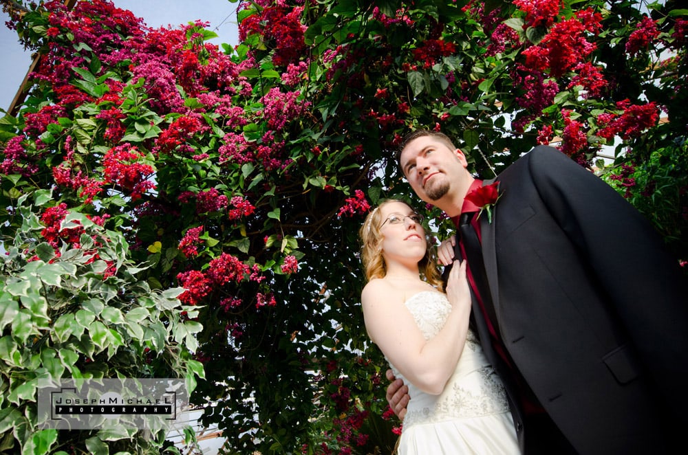 Madsen's Greenhouses Garden Centre Wedding Photography
