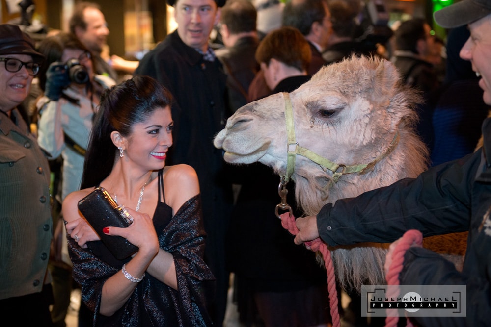 The Sheik World Premier at Hot Docs 2014