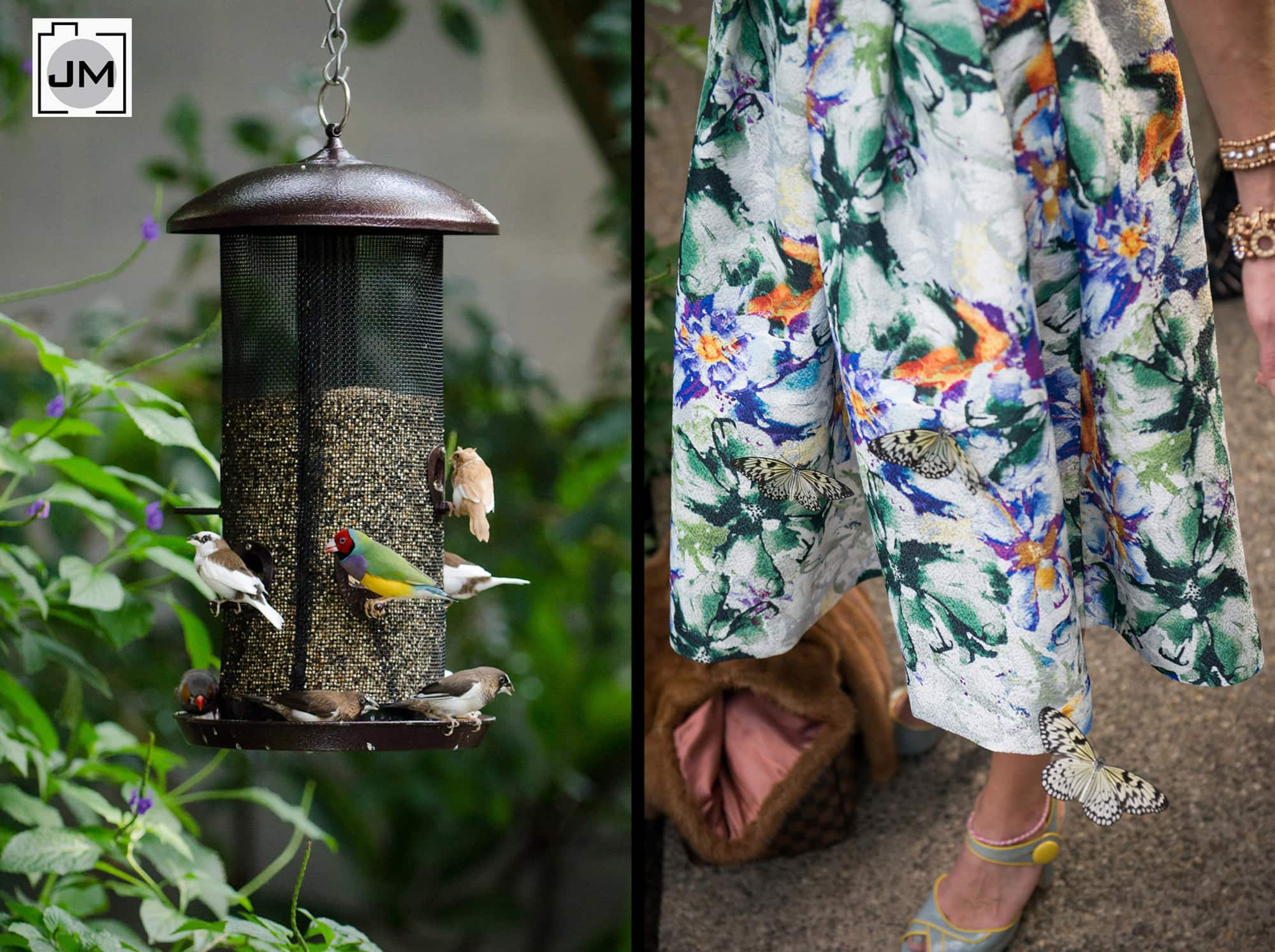 Cambridge_Butterfly_Conservatory_Wedding