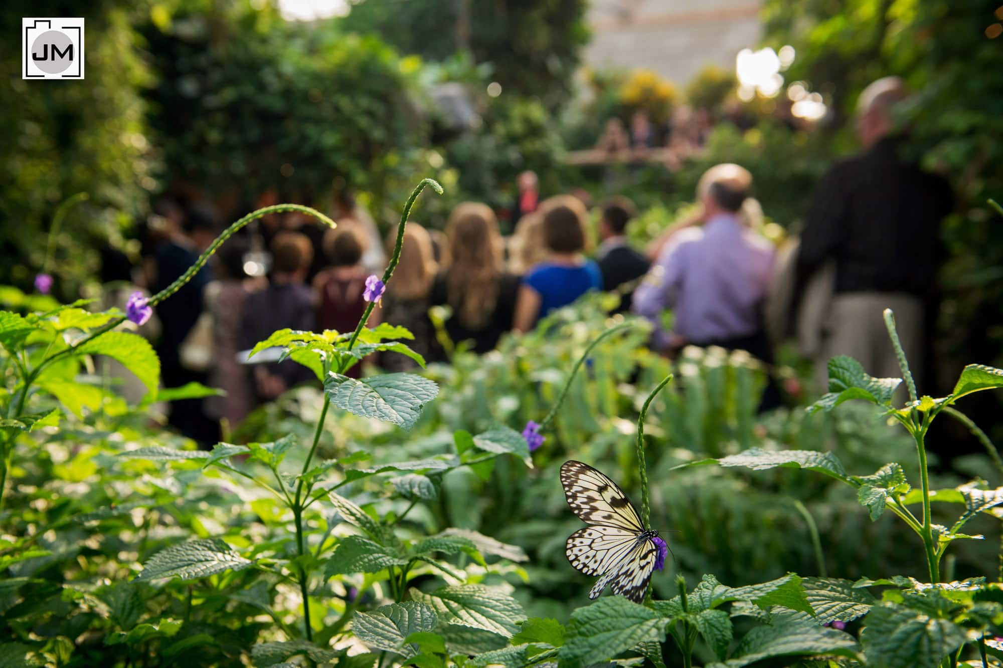 Cambridge_Butterfly_Conservatory_Wedding_016